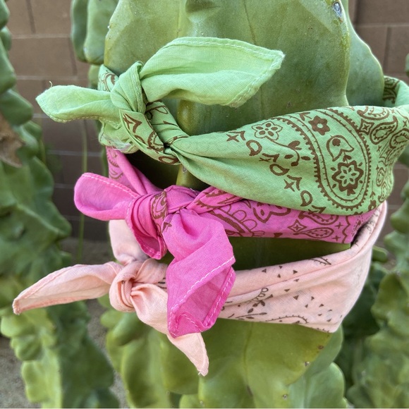 The FLORIDA Collection Hand Dyed Paisley Cotton Bandanas (Set of 3) - Picture 8 of 11